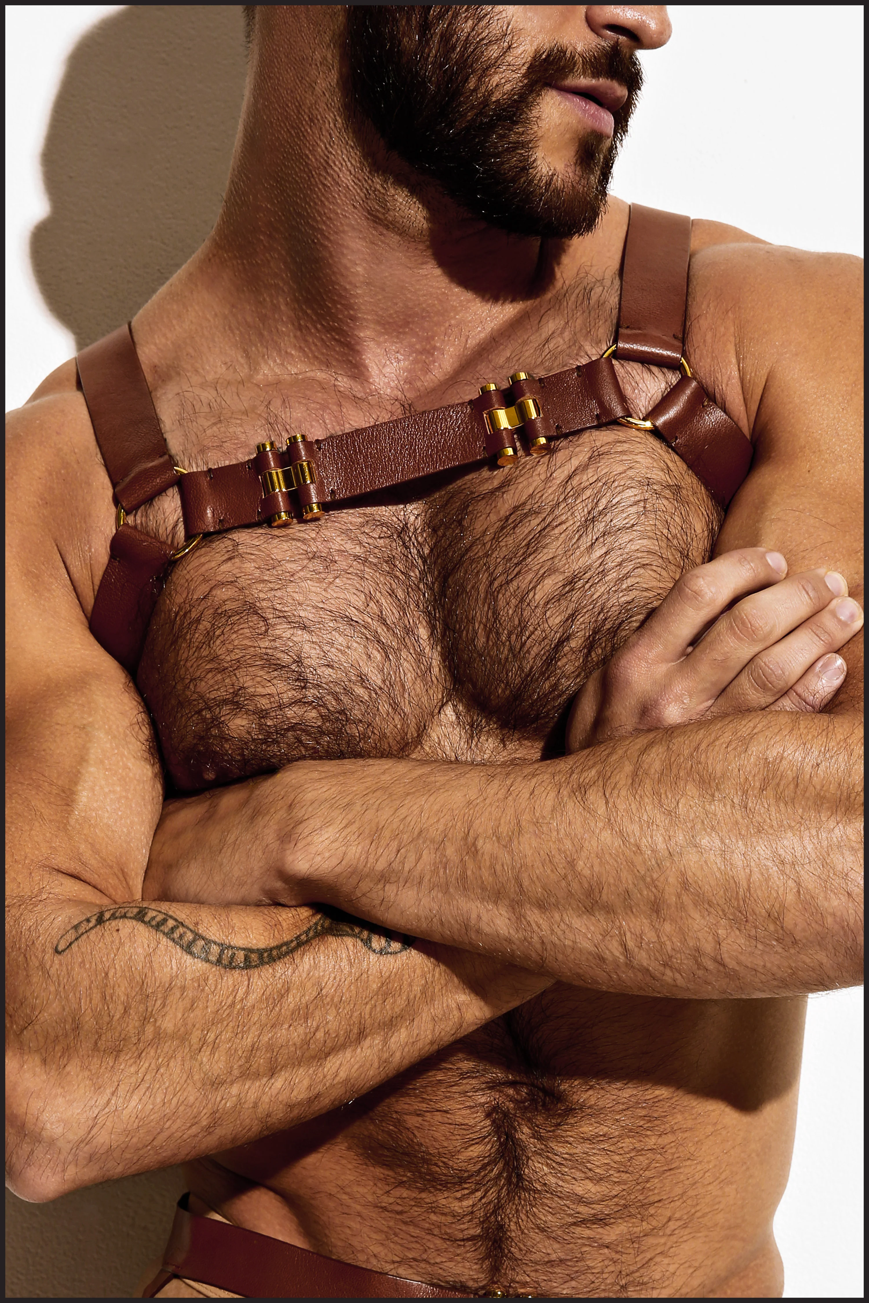 LE Top Harness Chest